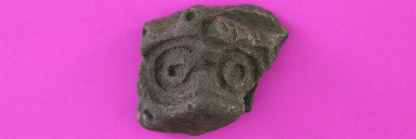 Puerto Rico Taino Pre Columbian Pottery Artifact FREE Display Case 1000AD COA 90