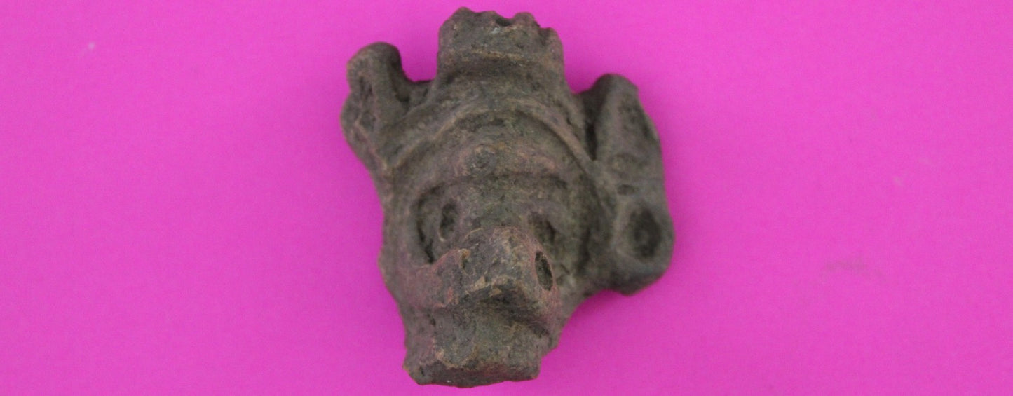 Puerto Rico Taino Pre Columbian Pottery Artifact FREE Display Case 1000AD COA 63