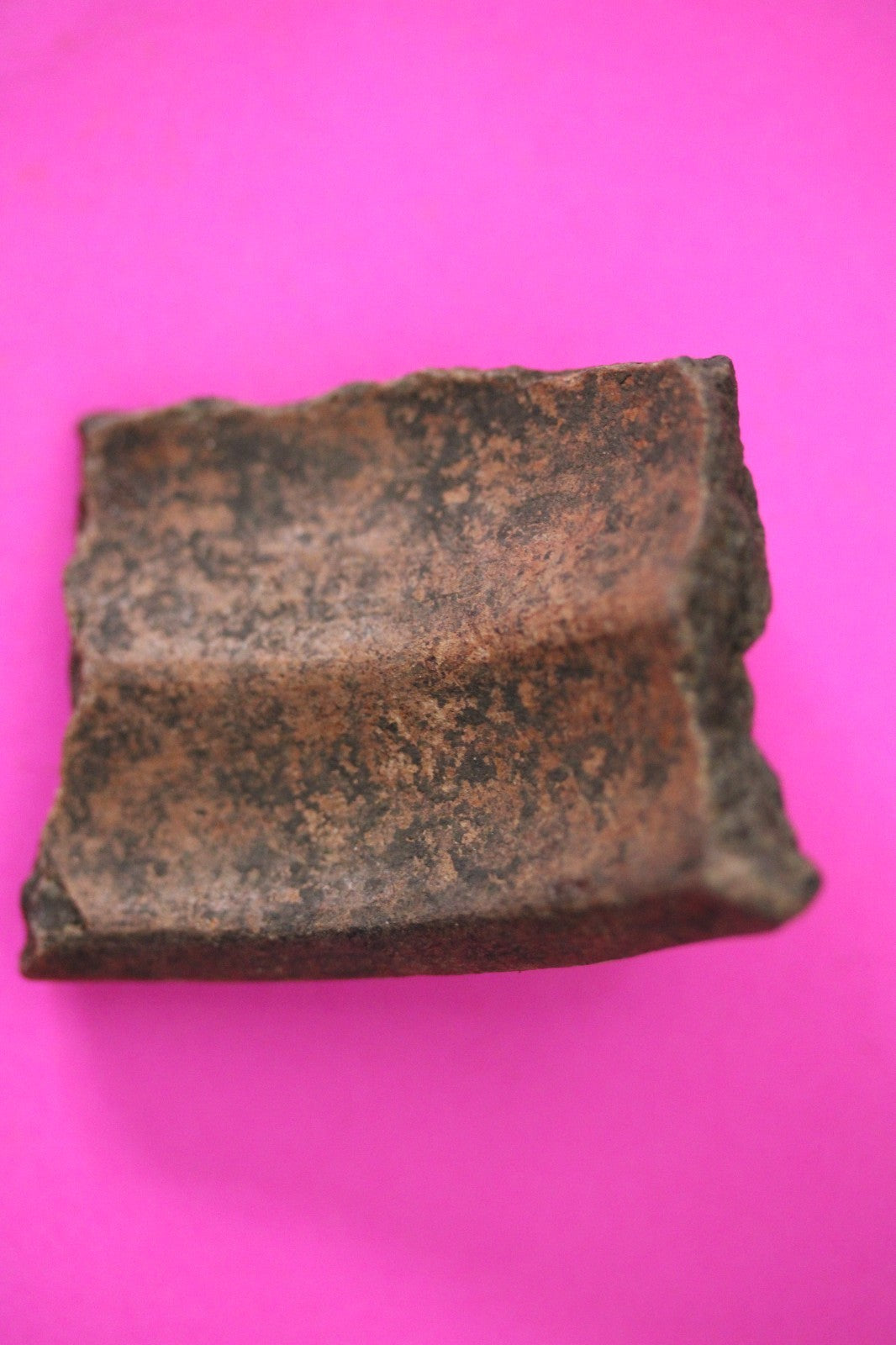 Puerto Rico Taino Pre Columbian Pottery Artifact FREE Display Case 1000AD COA 32