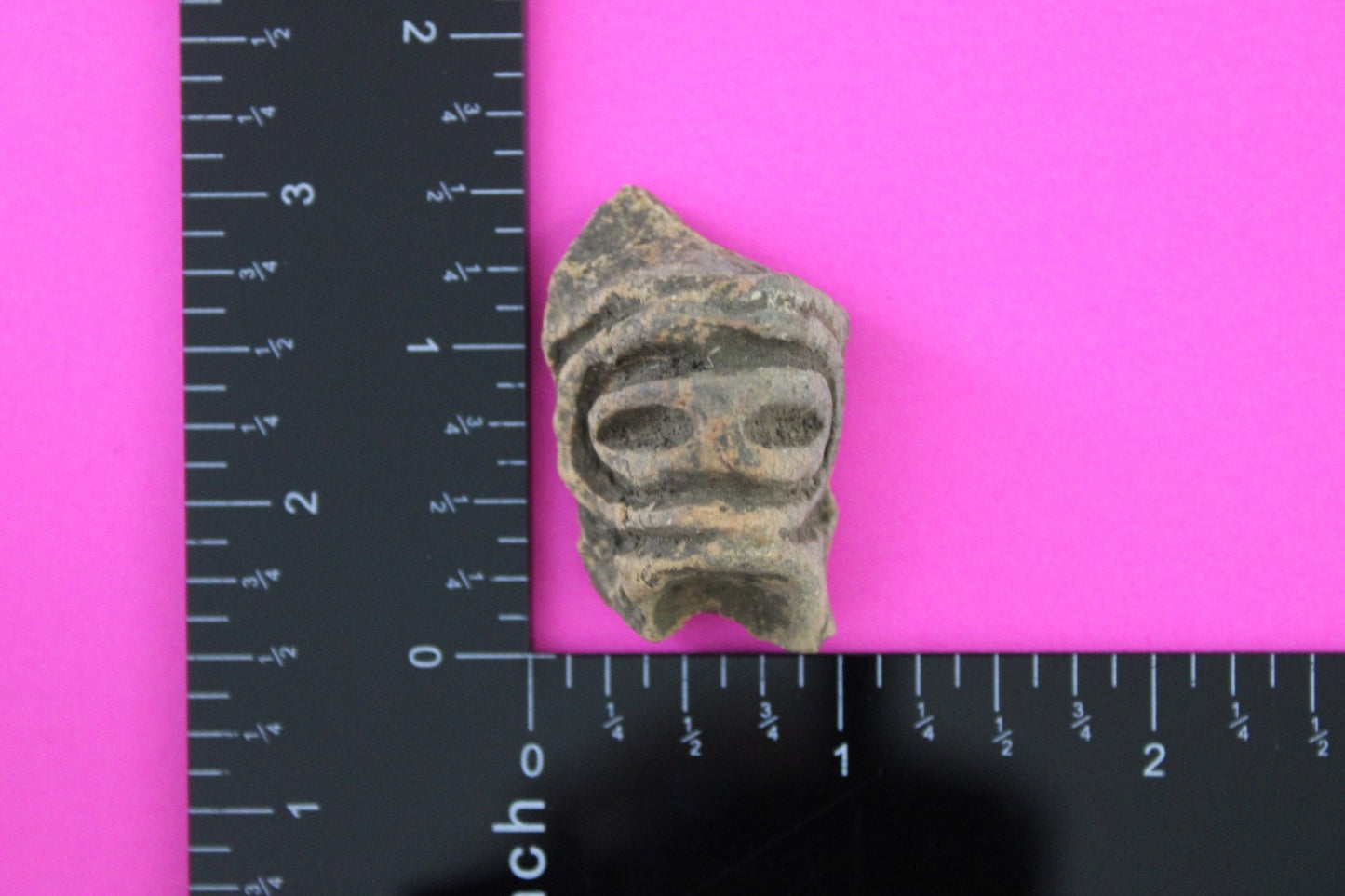 Puerto Rico Taino Pre Columbian Pottery Artifact FREE Display Case 1000AD COA101