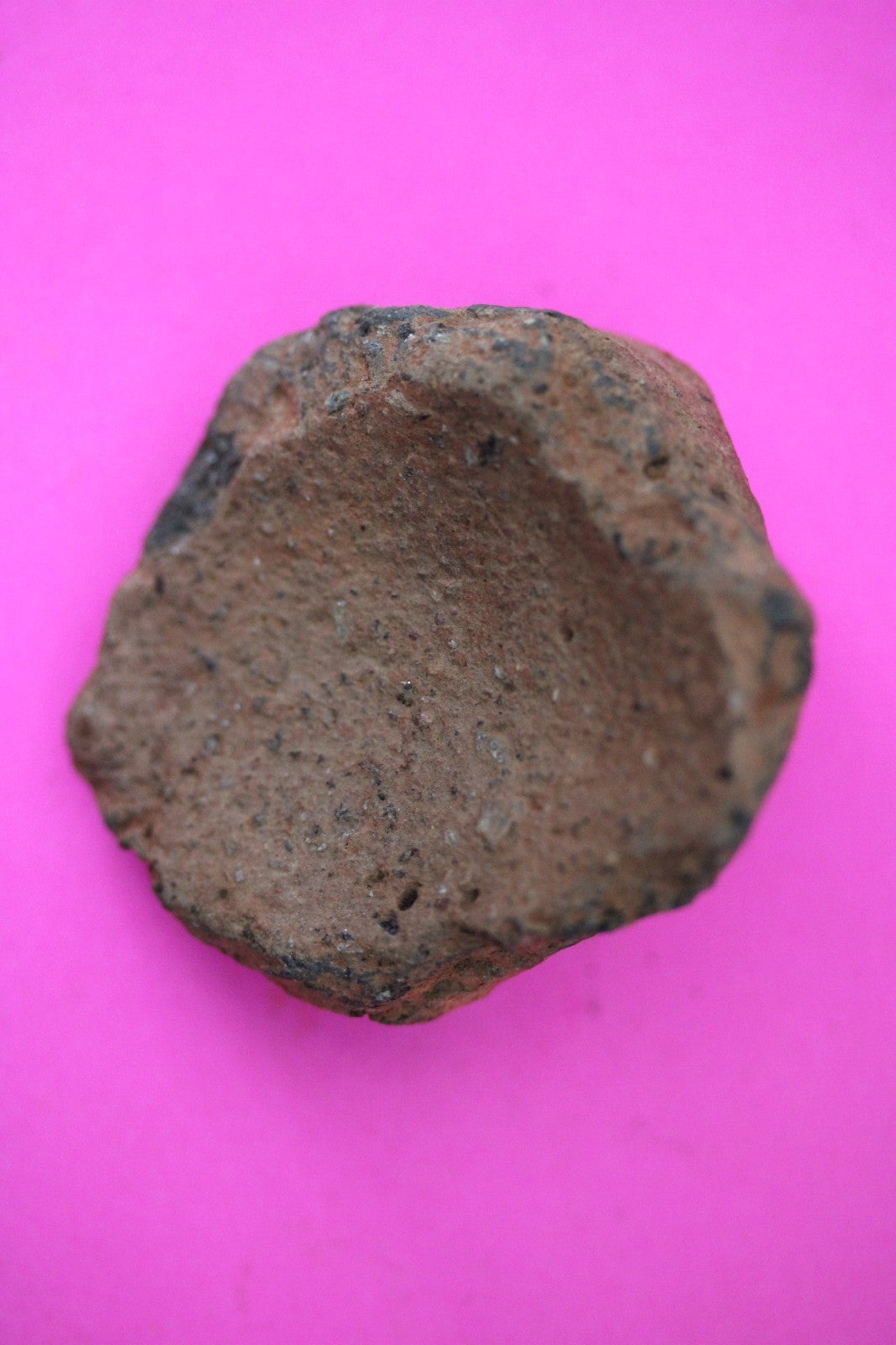 Puerto Rico Taino Pre Columbian Pottery Artifact FREE Display Case 1000AD COA 56