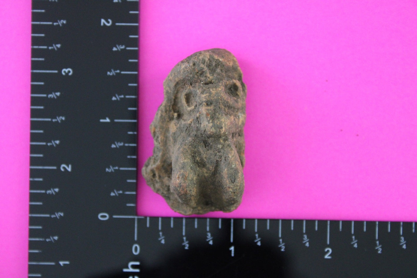 Puerto Rico Taino Pre Columbian Pottery Artifact FREE Display Case 1000AD COA 93