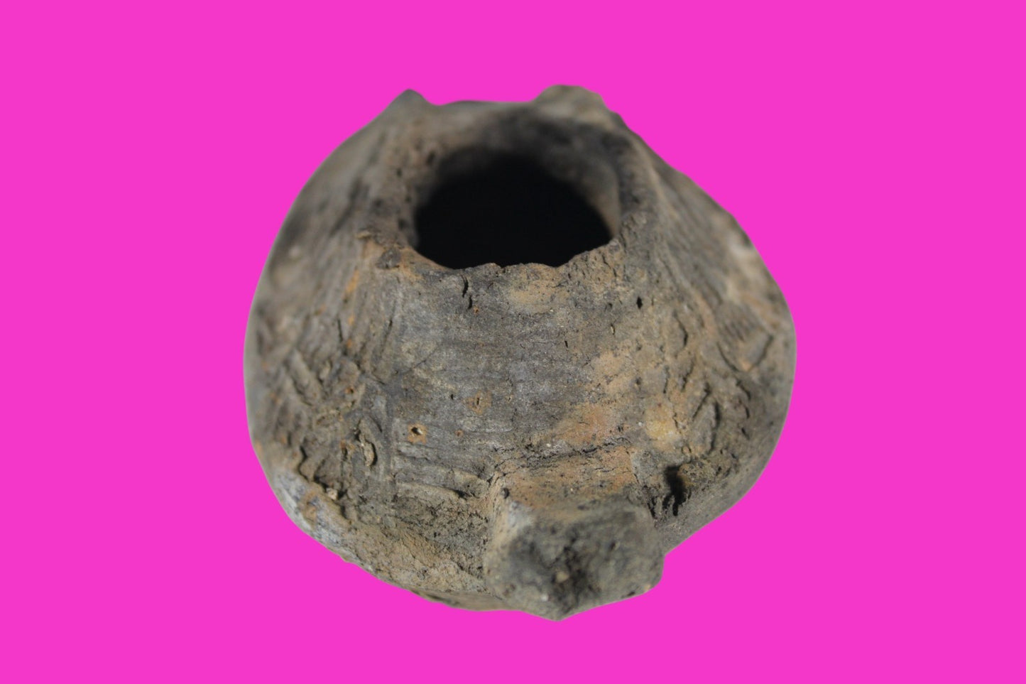Oil Lamp Holy Land Ancient Artifact Jesus Christ Home Israel 300-600 AD COA 104
