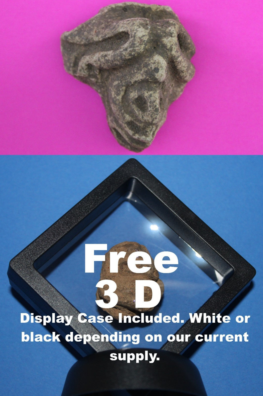 Puerto Rico Taino Pre Columbian Pottery Artifact FREE Display Case 1000AD COA 99