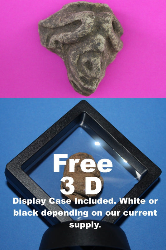 Puerto Rico Taino Pre Columbian Pottery Artifact FREE Display Case 1000AD COA 99