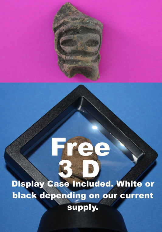 Puerto Rico Taino Pre Columbian Pottery Artifact FREE Display Case 1000AD COA101