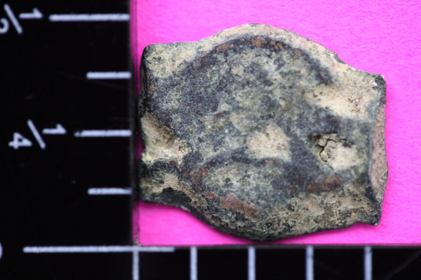 Widows Mite Coin Holy Land Artifact Free Display Frame Jesus Christ Lifetime 97