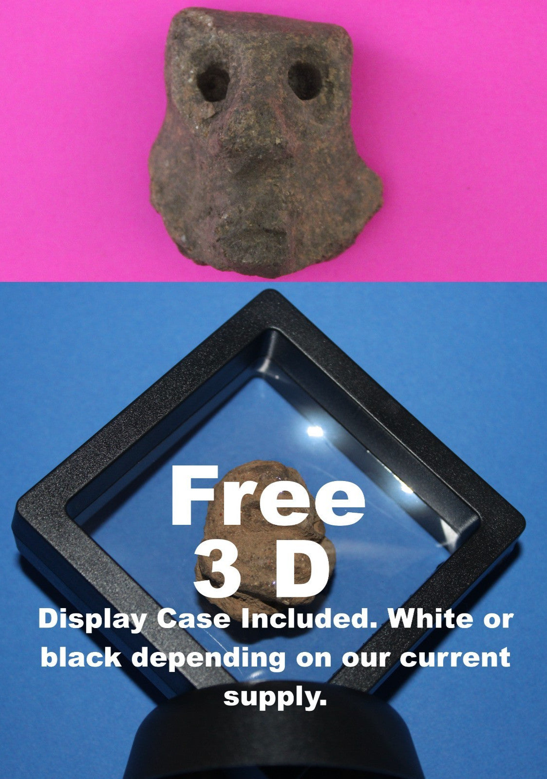 Puerto Rico Taino Pre Columbian Pottery Artifact FREE Display Case 1000AD COA 72