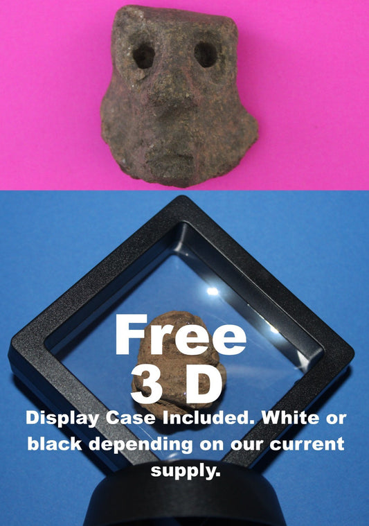 Puerto Rico Taino Pre Columbian Pottery Artifact FREE Display Case 1000AD COA 72