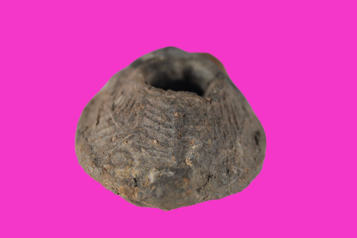 Oil Lamp Holy Land Ancient Artifact Jesus Christ Home Israel 300-600 AD COA 138