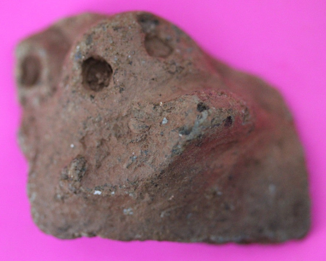 Puerto Rico Taino Pre Columbian Pottery Artifact FREE Display Case 1000AD COA 47