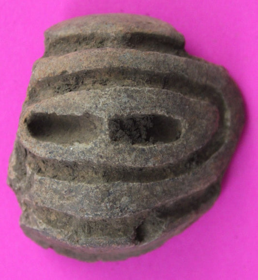 Puerto Rico Taino Pre Columbian Pottery Artifact FREE Display Case 1000AD COA 61