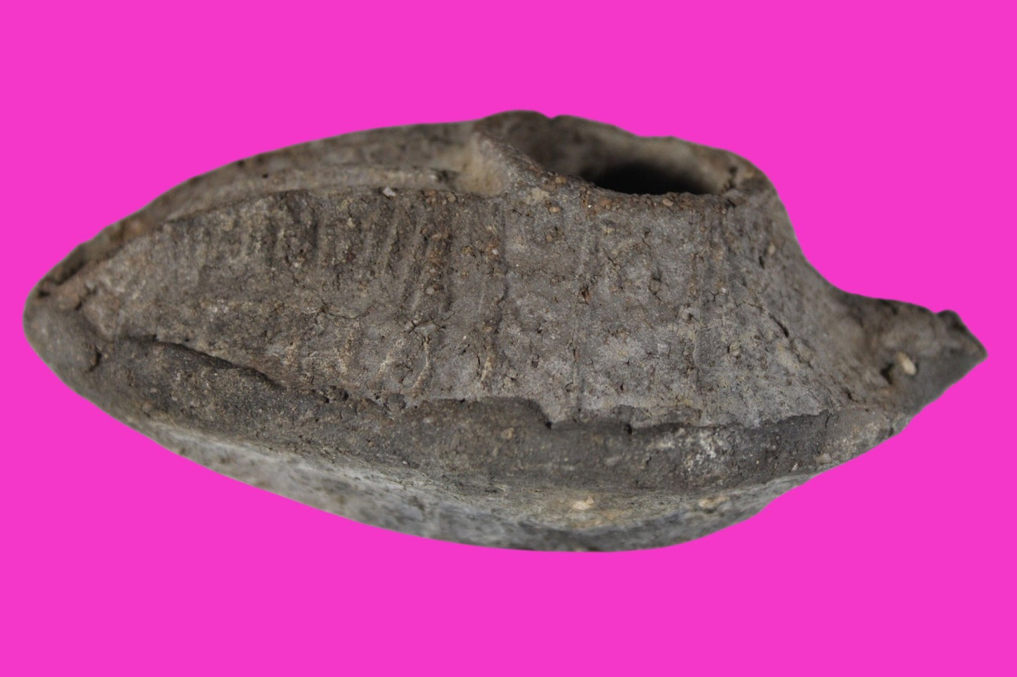 Oil Lamp Holy Land Ancient Artifact Jesus Christ Home Israel 300-600 AD COA 90