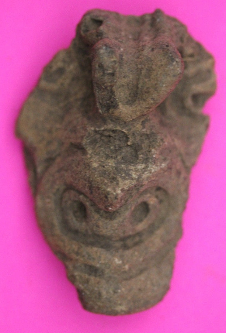 Puerto Rico Taino Pre Columbian Pottery Artifact FREE Display Case 1000AD COA 17