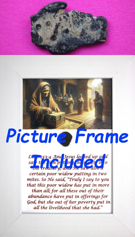 Widows Mite Coin Holy Land Artifact Free Display Frame Jesus Christ Lifetime 196