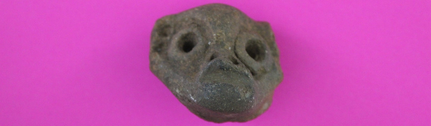 Puerto Rico Taino Pre Columbian Pottery Artifact FREE Display Case 1000AD COA 86