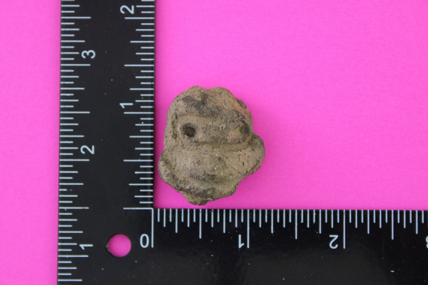 Puerto Rico Taino Precolumbian Pottery Artifact FREE Display Case 1000 AD COA 30