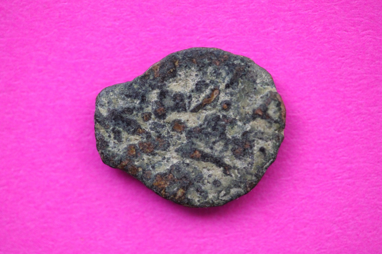 Widows Mite Coin Holy Land Artifact Free Display Frame Jesus Christ Lifetime 186