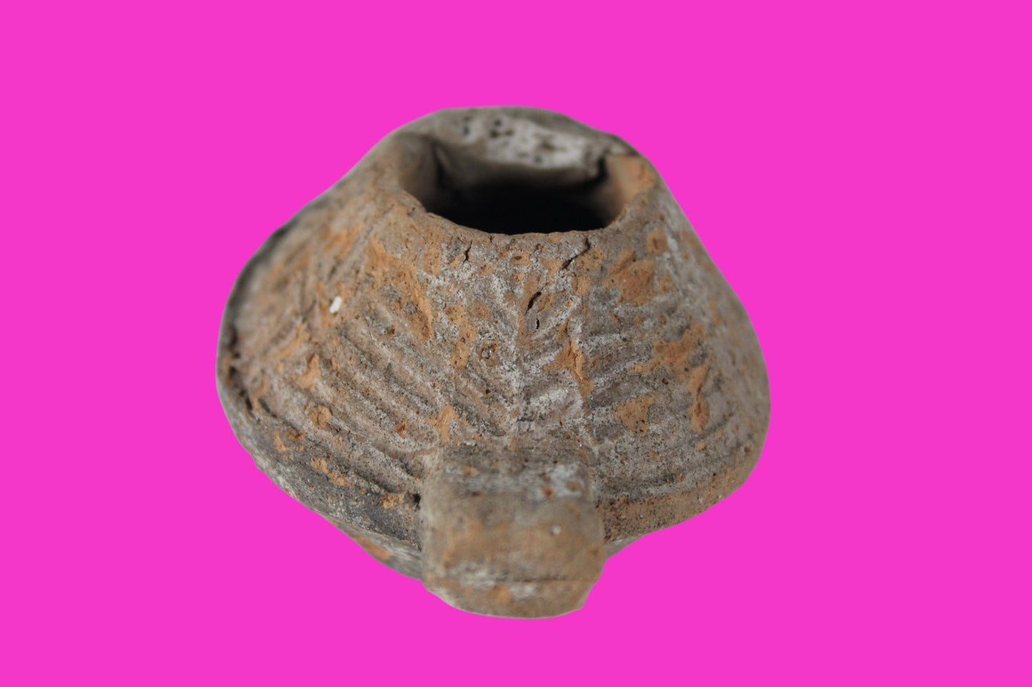 Oil Lamp Holy Land Ancient Artifact Jesus Christ Home Israel 300-600 AD COA 124