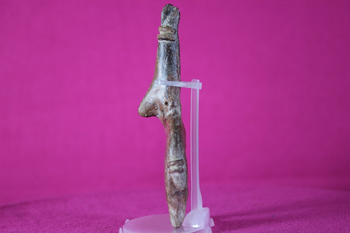 Pre Columbian Artifact Colima Shaman Mexico 300BC-300AD Certified COA J38