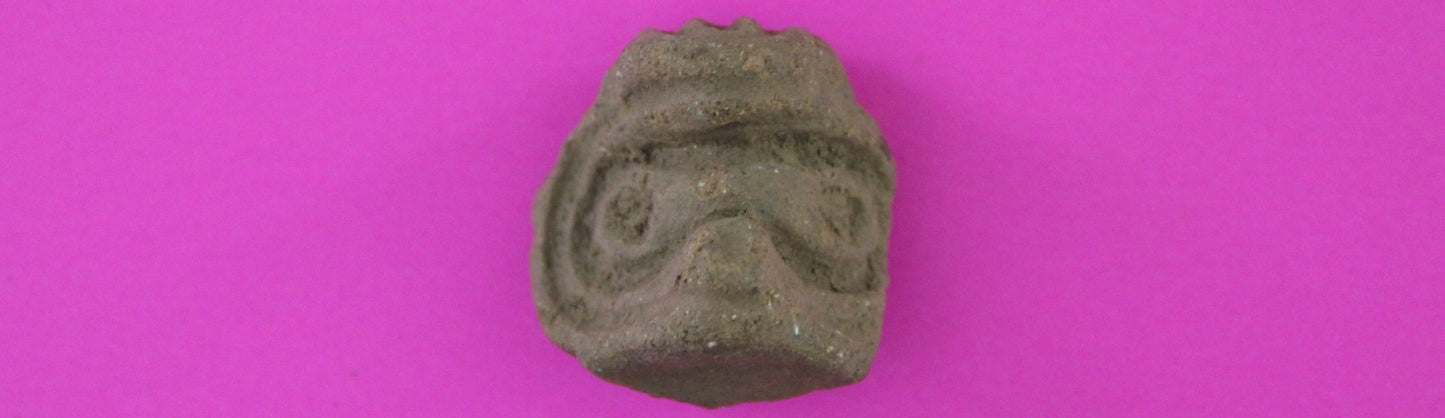 Puerto Rico Taino Pre Columbian Pottery Artifact FREE Display Case 1000AD COA 78