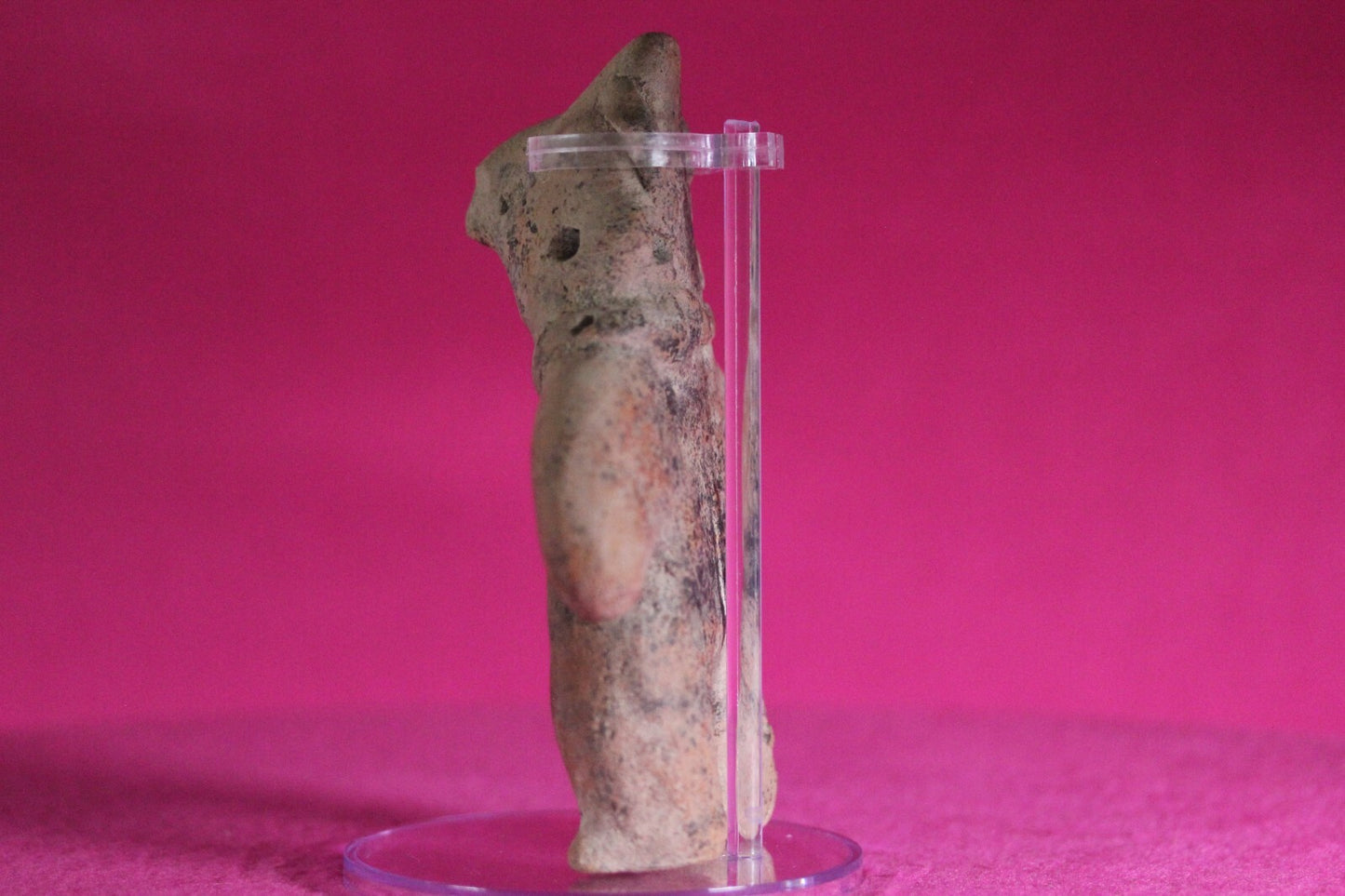Pre Columbian Artifact Authentic Tomb Figure Colima Ex Arte Primitivo COA T86