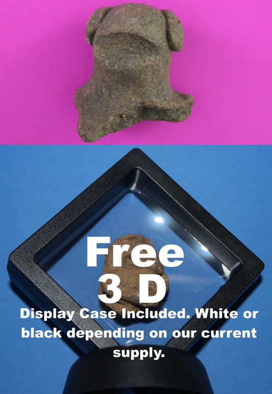 Puerto Rico Taino Pre Columbian Pottery Artifact FREE Display Case 1000AD COA103