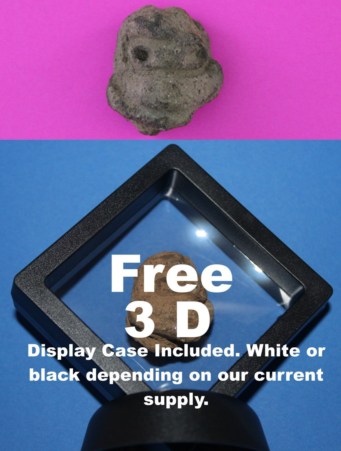 Puerto Rico Taino Precolumbian Pottery Artifact FREE Display Case 1000 AD COA 30