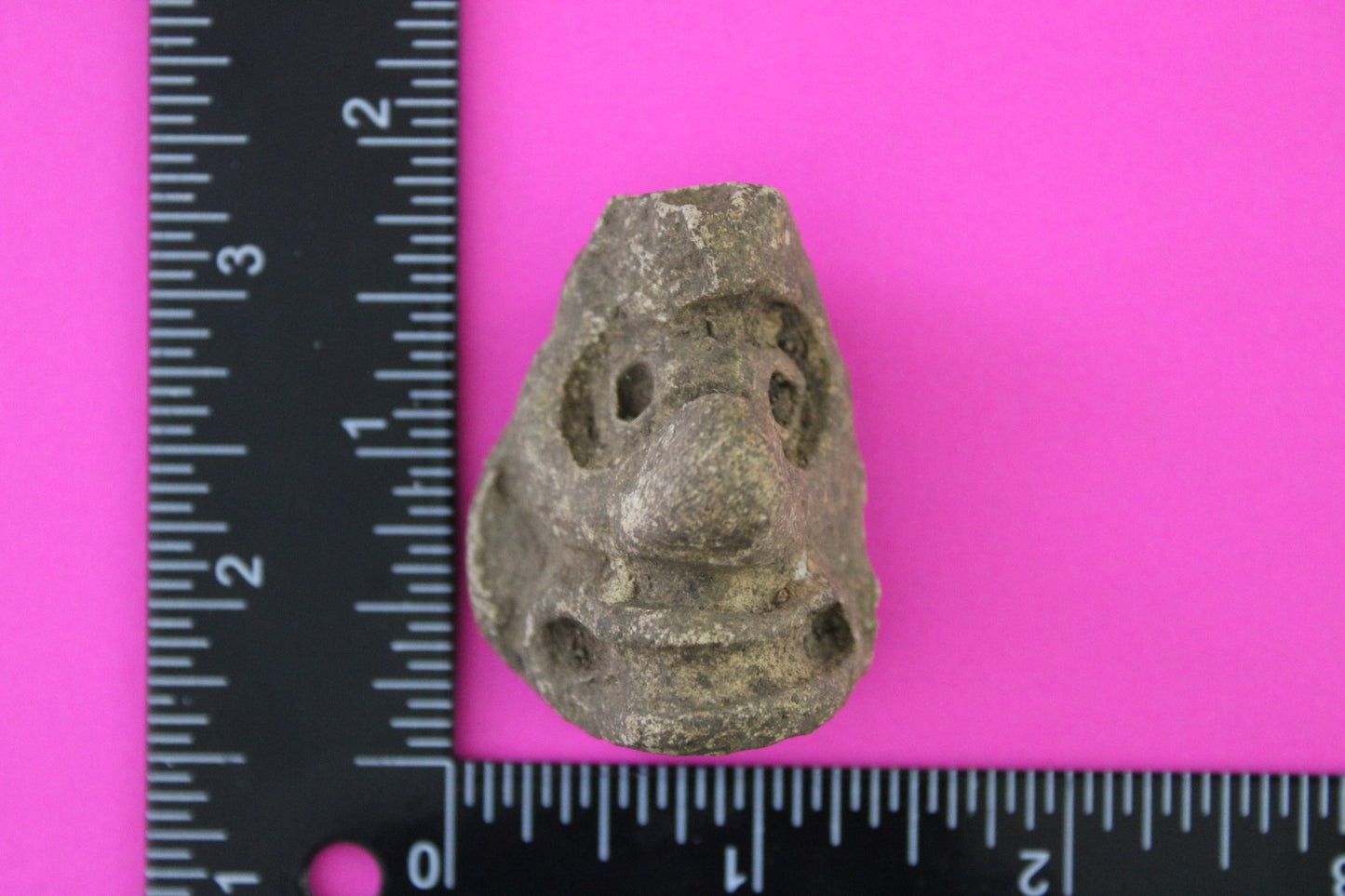 Puerto Rico Taino Precolumbian Pottery Artifact FREE Display Case 1000 AD COA 88