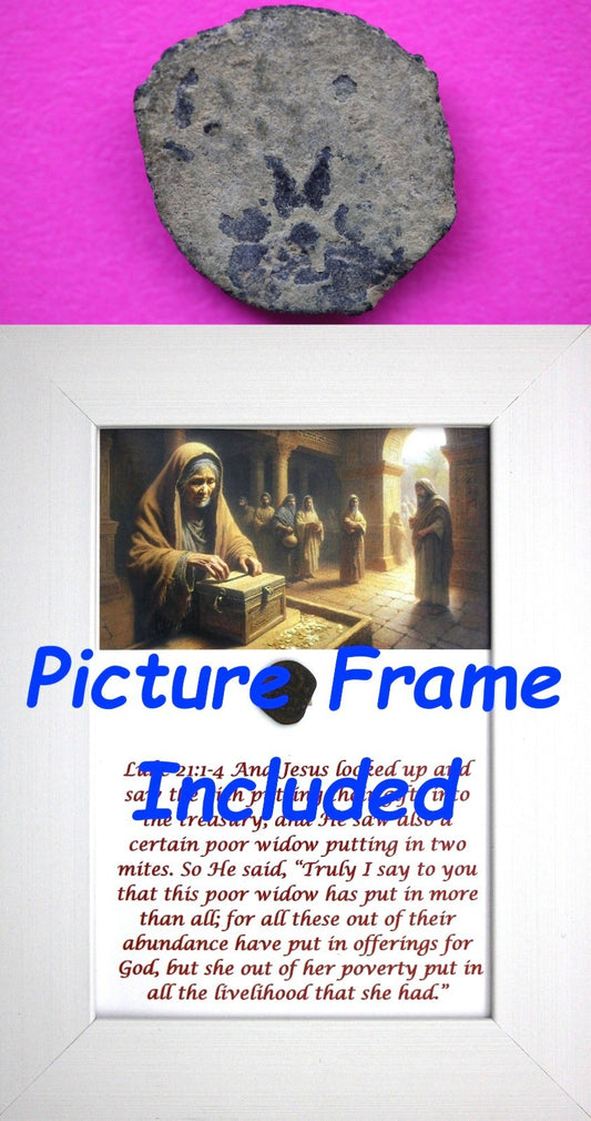 Widows Mite Coin Holy Land Artifact Free Display Frame Jesus Christ Lifetime 168
