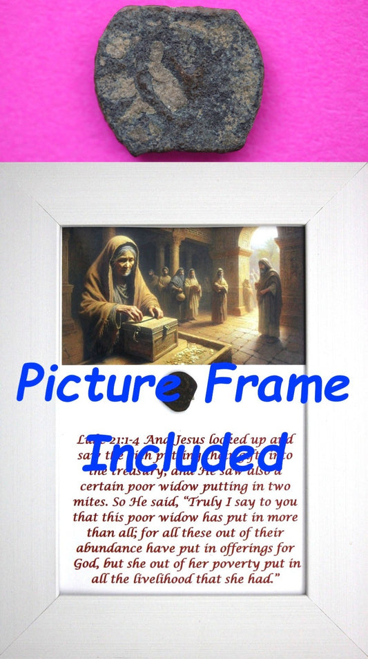 Widows Mite Coin Holy Land Artifact Free Display Frame Jesus Christ Lifetime 141