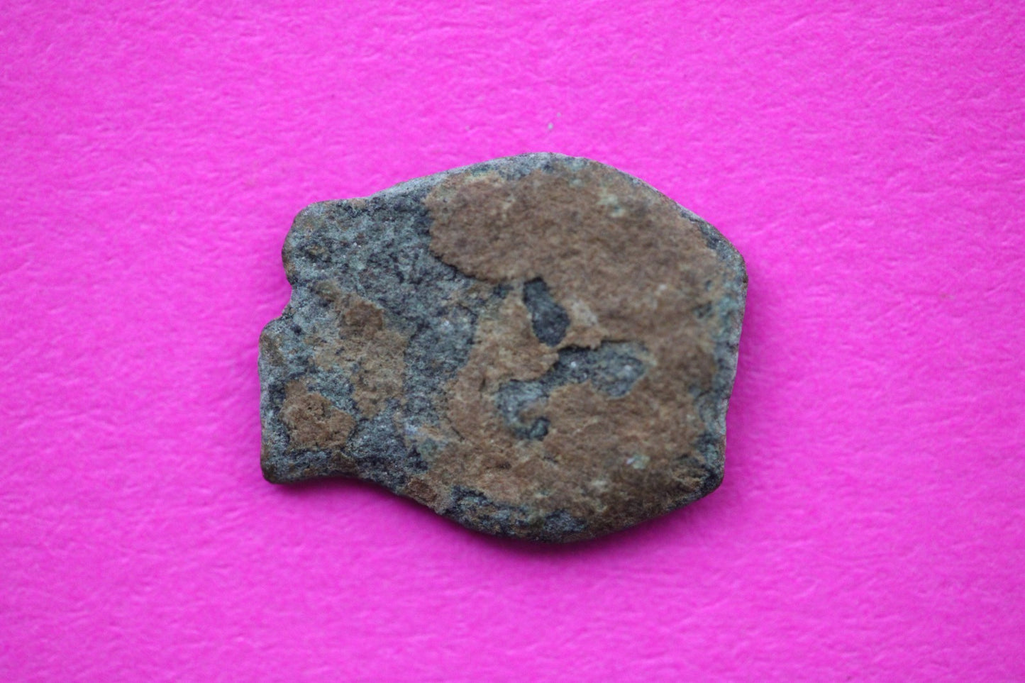 Widows Mite Coin Holy Land Artifact Free Display Frame Jesus Christ Lifetime 172