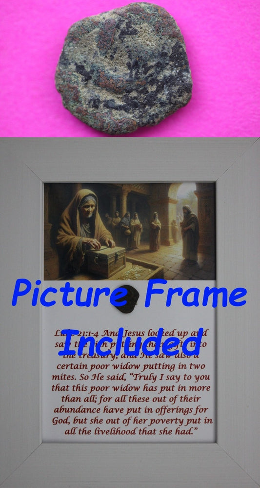 Widows Mite Coin Holy Land Artifact Free Display Frame Jesus Christ Lifetime 37