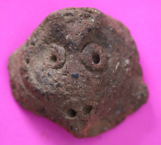 Puerto Rico Taino Pre Columbian Pottery Artifact FREE Display Case 1000AD COA 56