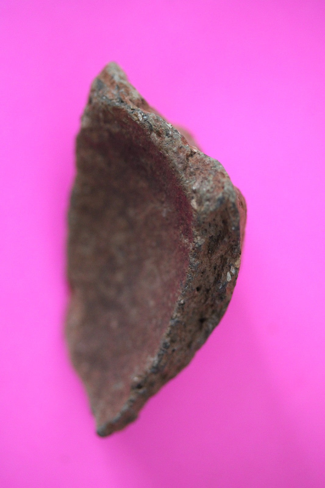 Puerto Rico Taino Pre Columbian Pottery Artifact FREE Display Case 1000AD COA 47