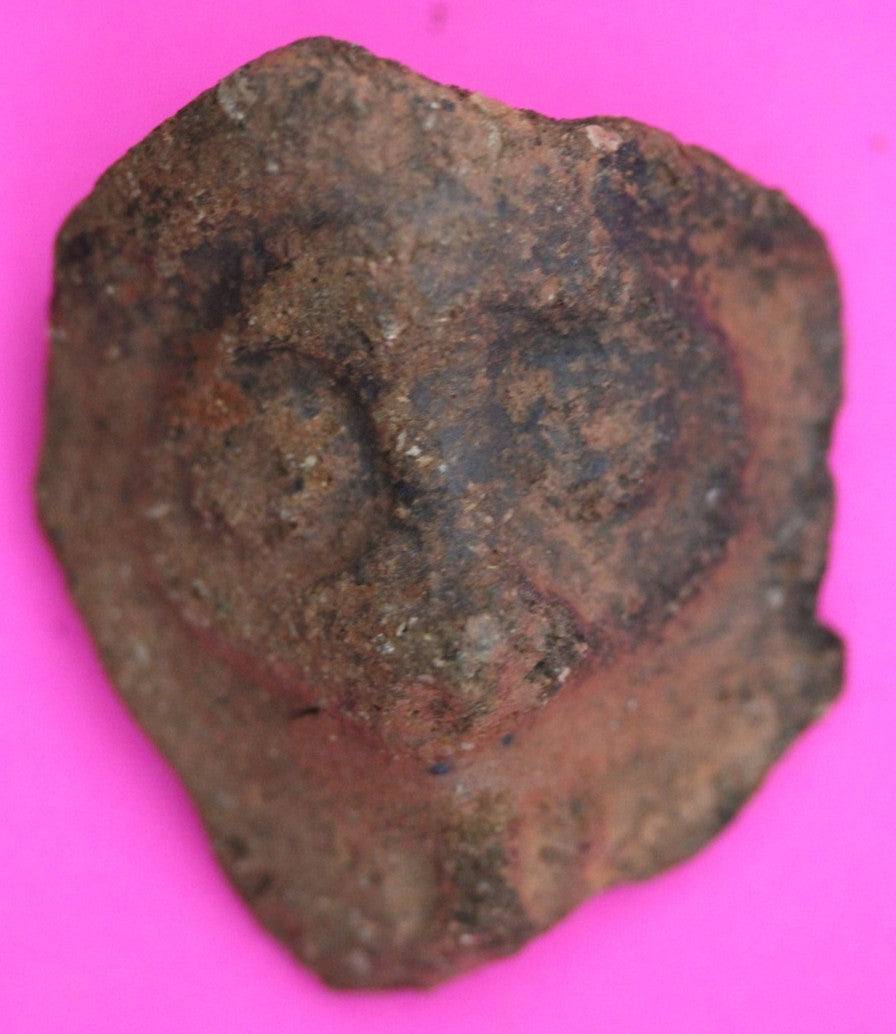 Puerto Rico Taino Pre Columbian Pottery Artifact FREE Display Case 1000AD COA 16