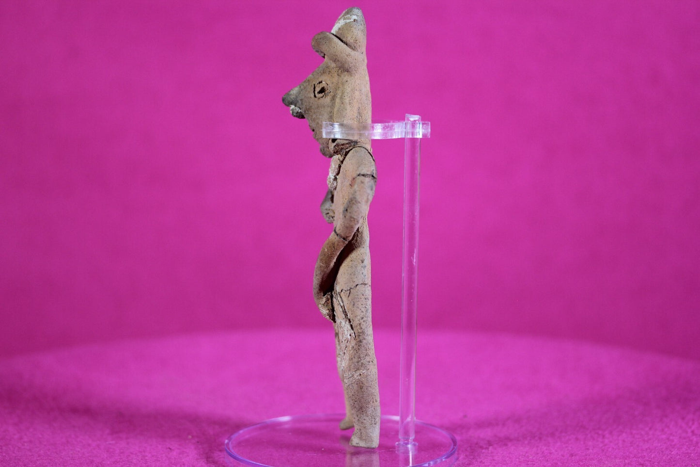 Pre Columbian Artifact Authentic Tomb Figure Colima Ex Arte Primitivo COA T74