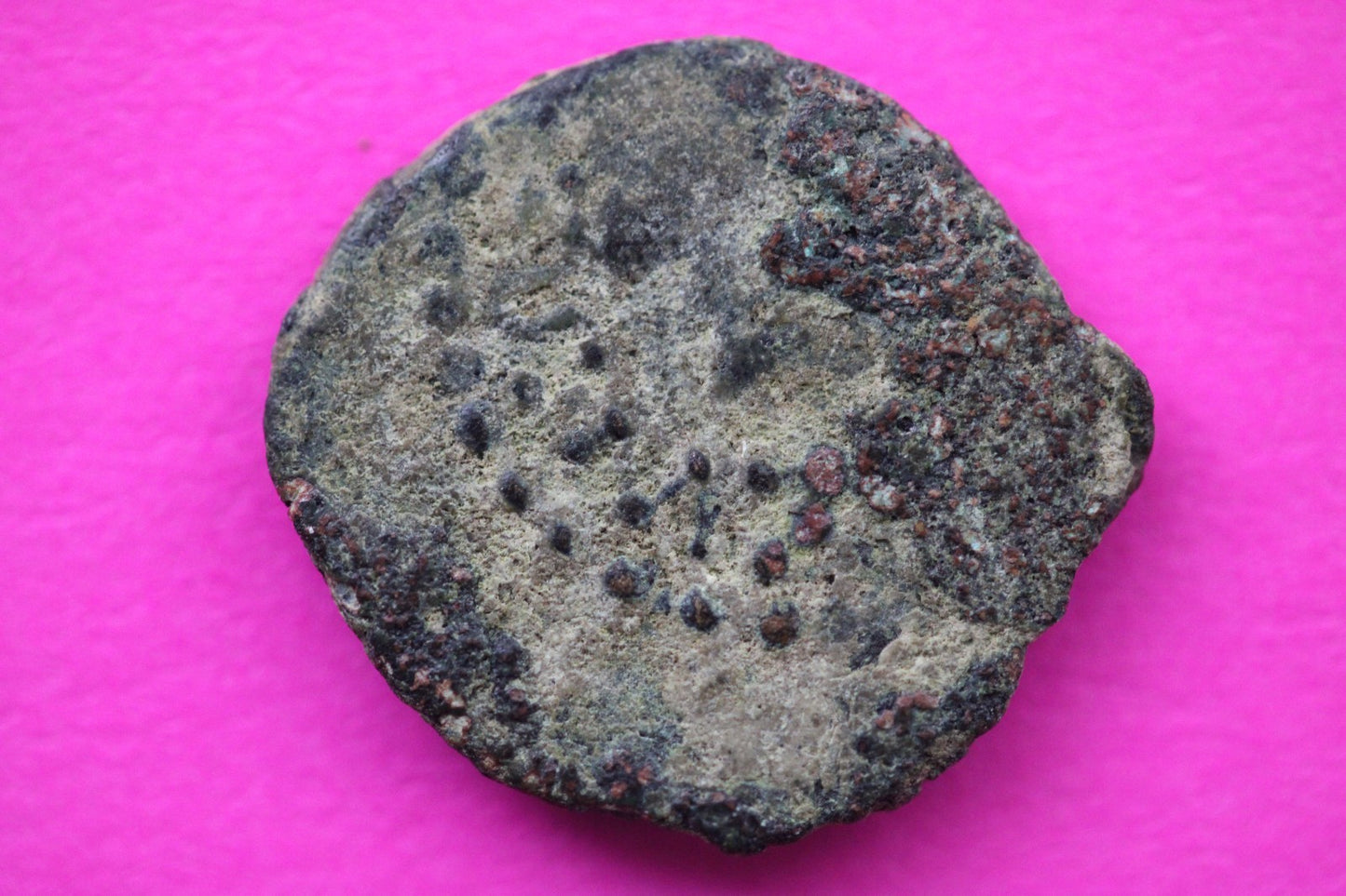 Widows Mite Coin Holy Land Artifact Free Display Frame Jesus Christ Lifetime 164