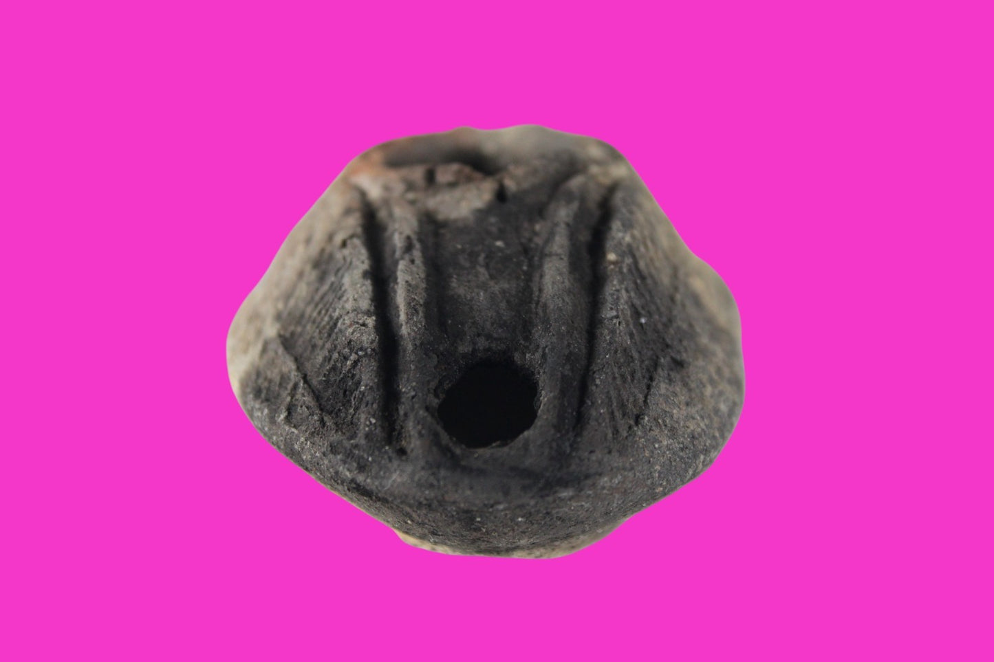 Ancient Holy Land Oil Lamp Artifact A Hidden Christian Cross 300-600AD COA 134