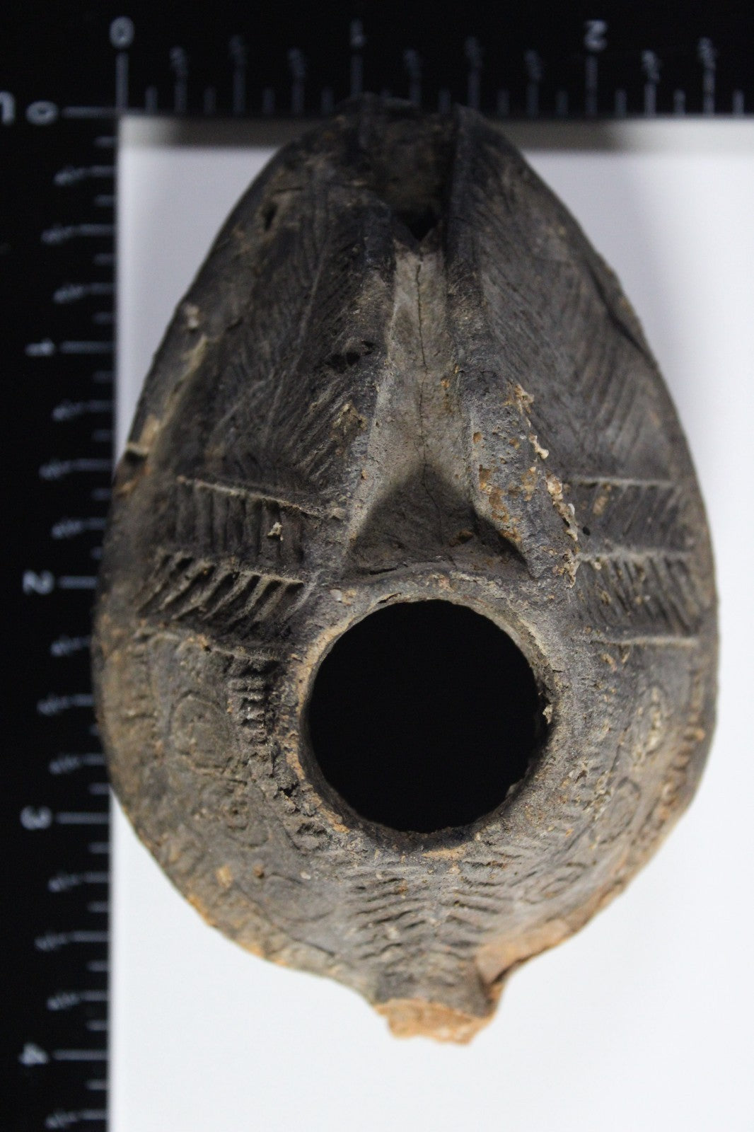 Oil Lamp Holy Land Ancient Artifact Jesus Christ Home Israel 300-600 AD COA 95