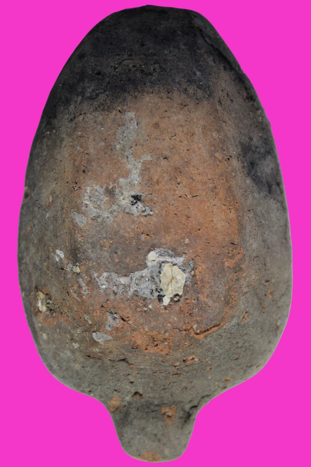 Oil Lamp Holy Land Ancient Artifact Jesus Christ Home Israel 300-600 AD COA 137