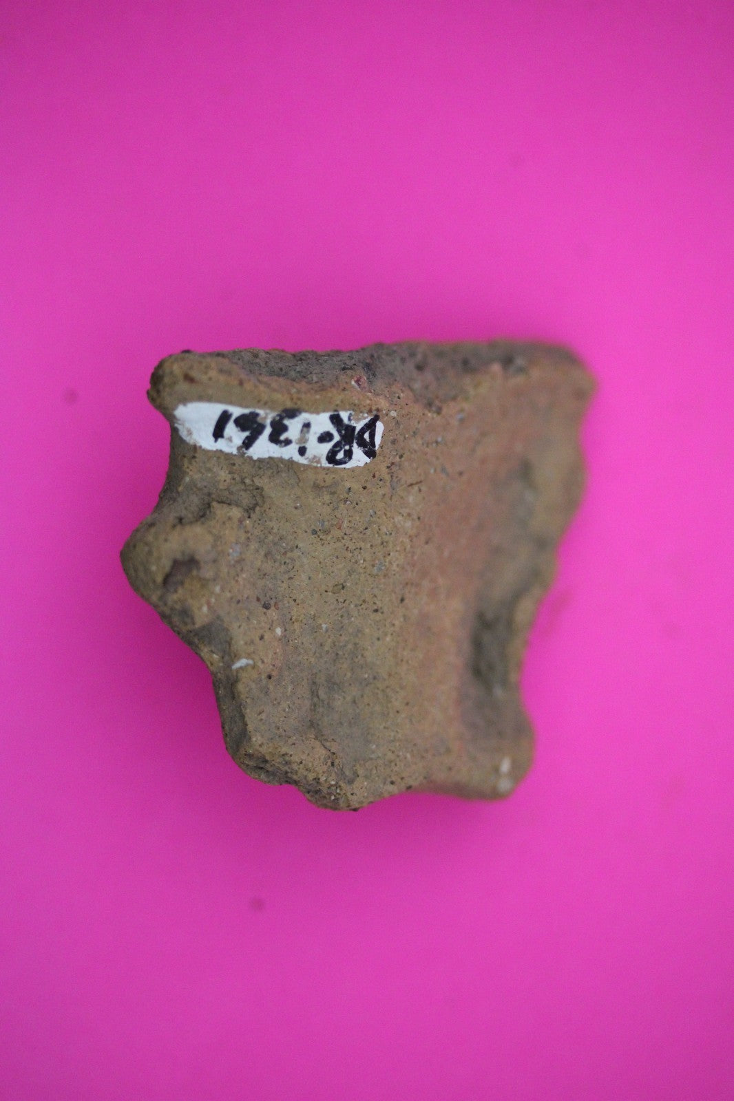 Puerto Rico Taino Pre Columbian Pottery Artifact FREE Display Case 1000AD COA 10