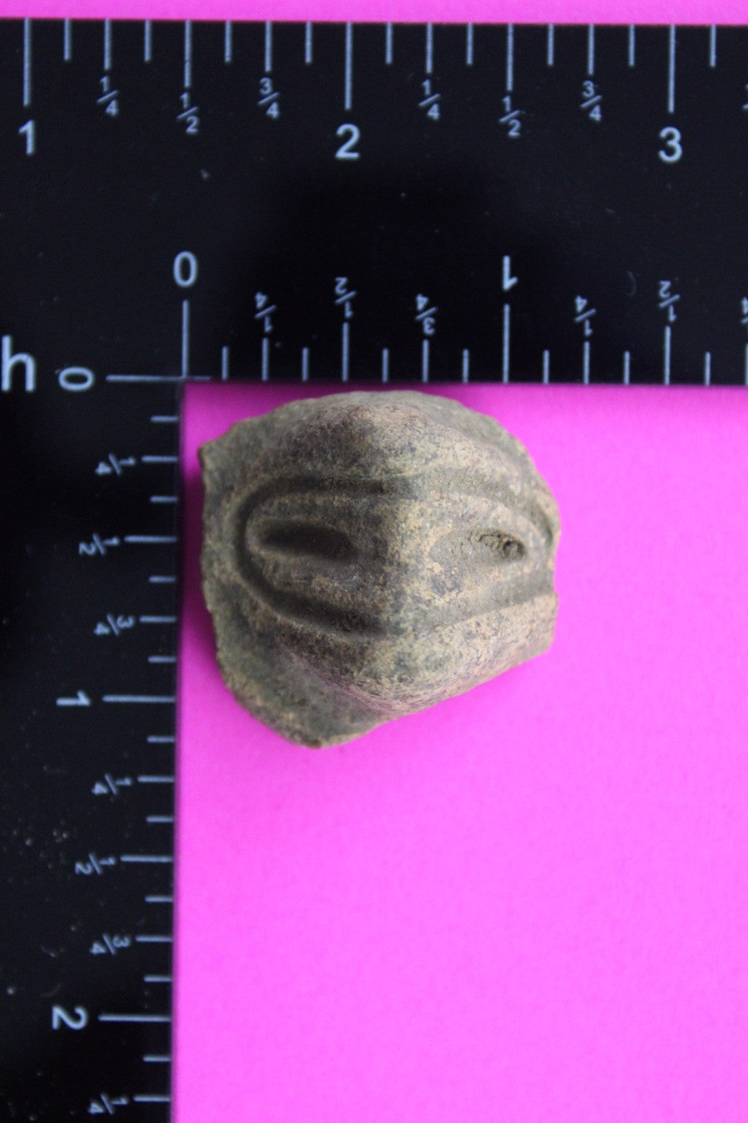 Puerto Rico Taino Pre Columbian Pottery Artifact FREE Display Case 1000AD COA 55