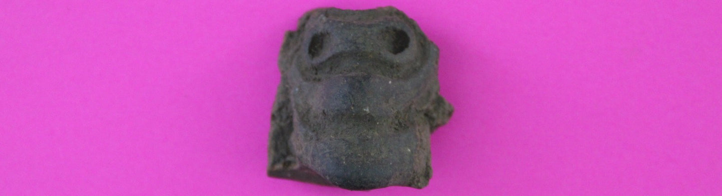 Puerto Rico Taino Pre Columbian Pottery Artifact FREE Display Case 1000AD COA 92