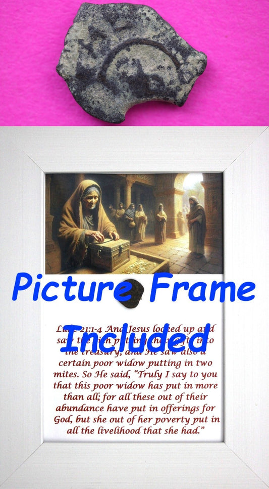 Widows Mite Coin Holy Land Artifact Free Display Frame Jesus Christ Lifetime 63