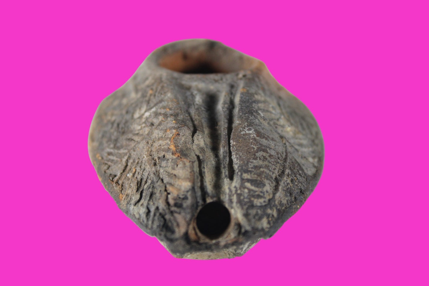 Oil Lamp Holy Land Ancient Artifact Jesus Christ Home Israel 300-600 AD COA 121