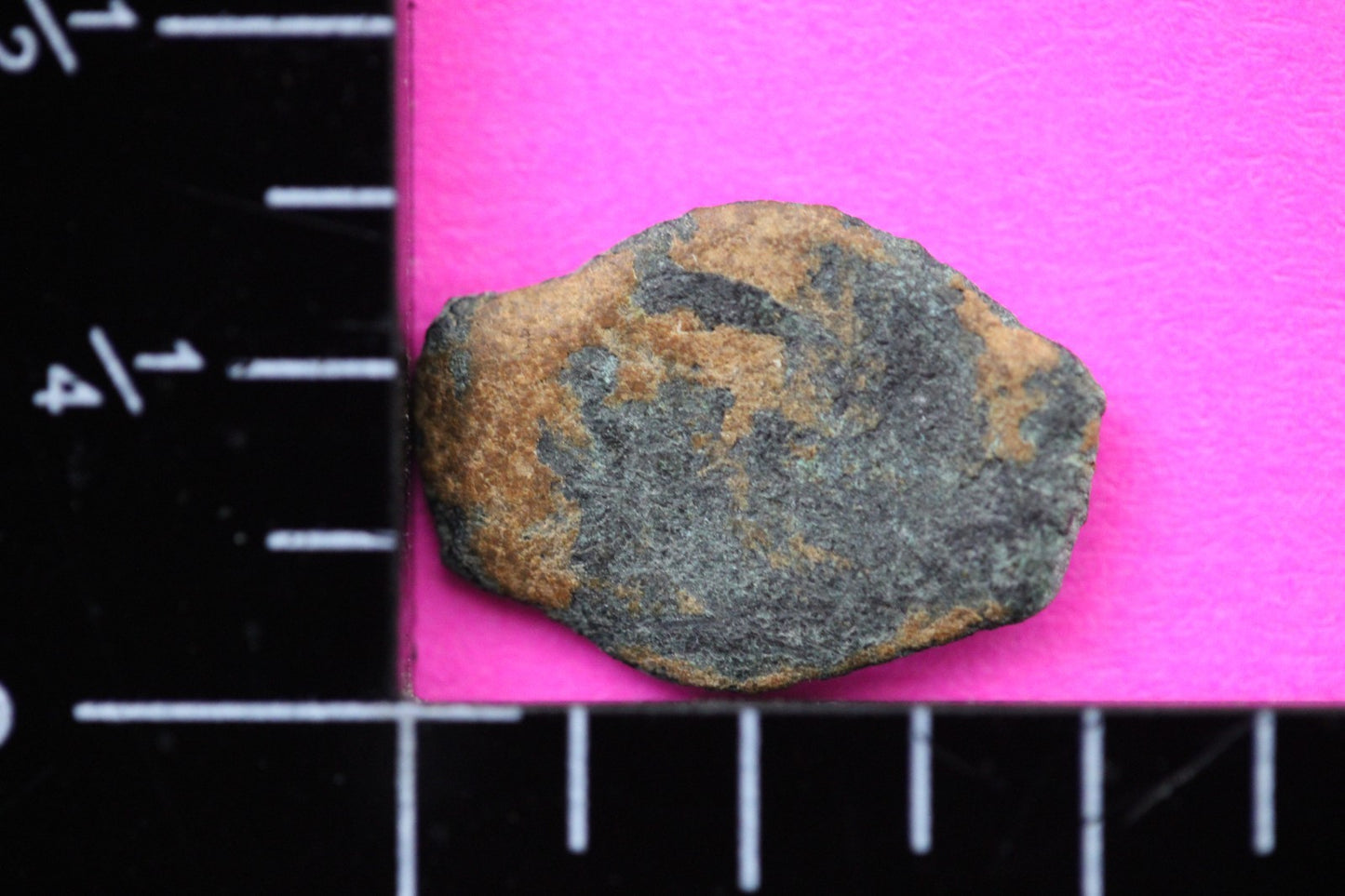 Widows Mite Coin Holy Land Artifact Free Display Frame Jesus Christ Lifetime 189