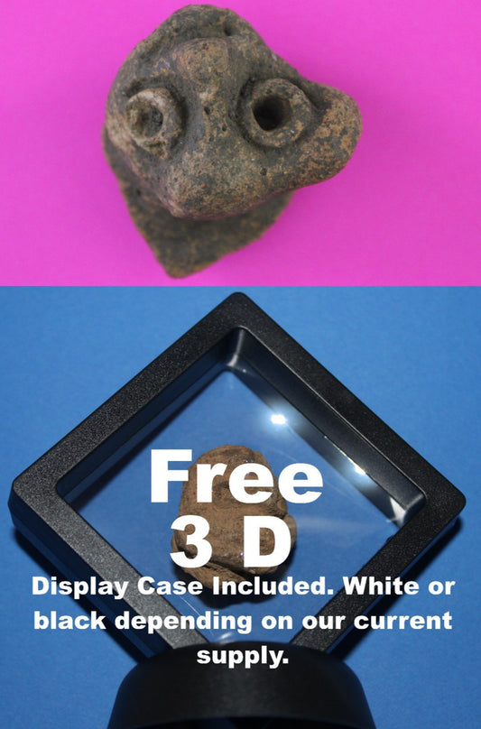 Puerto Rico Taino Pre Columbian Pottery Artifact FREE Display Case 1000AD COA 87