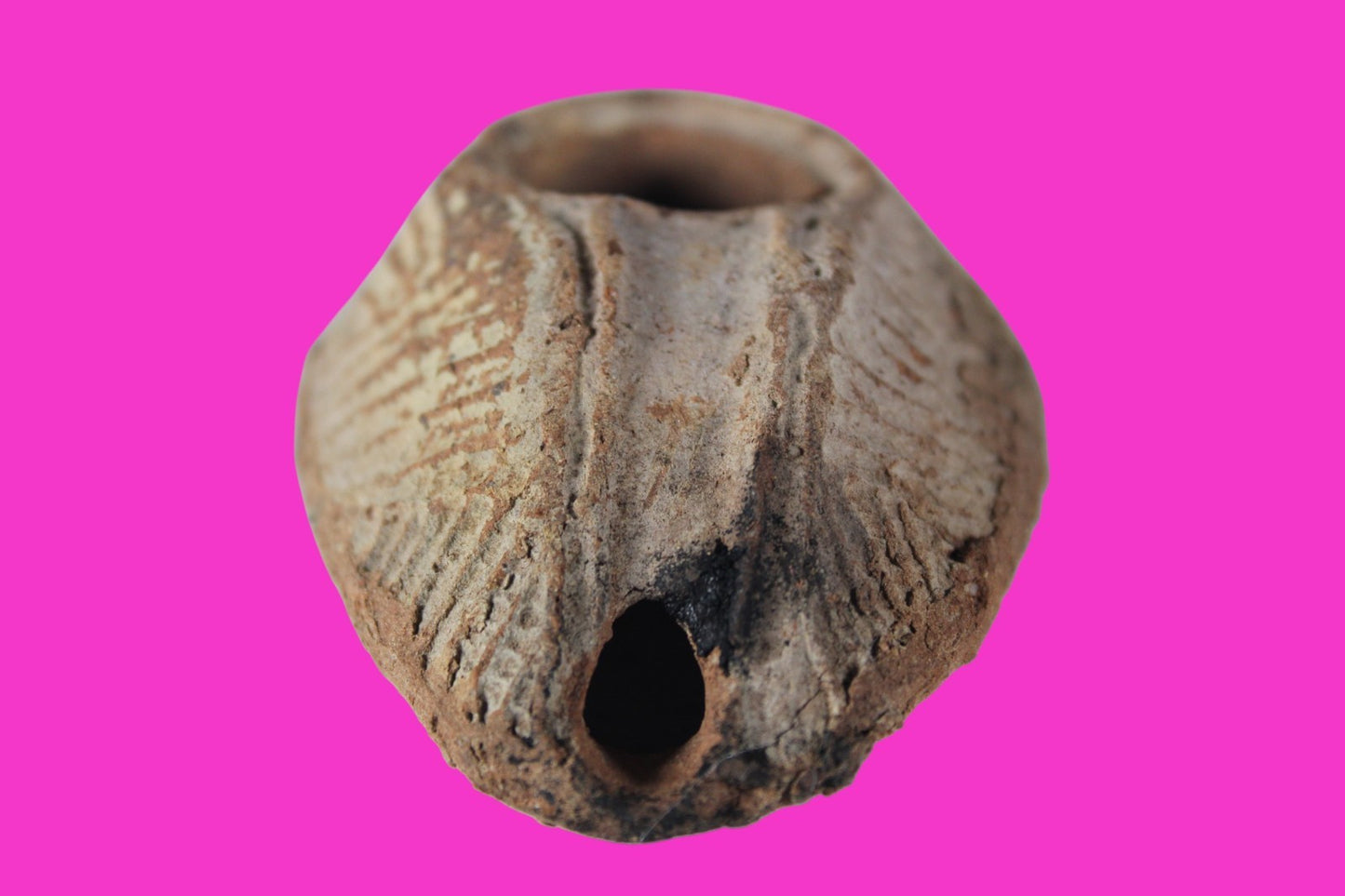 Oil Lamp Holy Land Ancient Artifact Jesus Christ Home Israel 300-600 AD COA 127