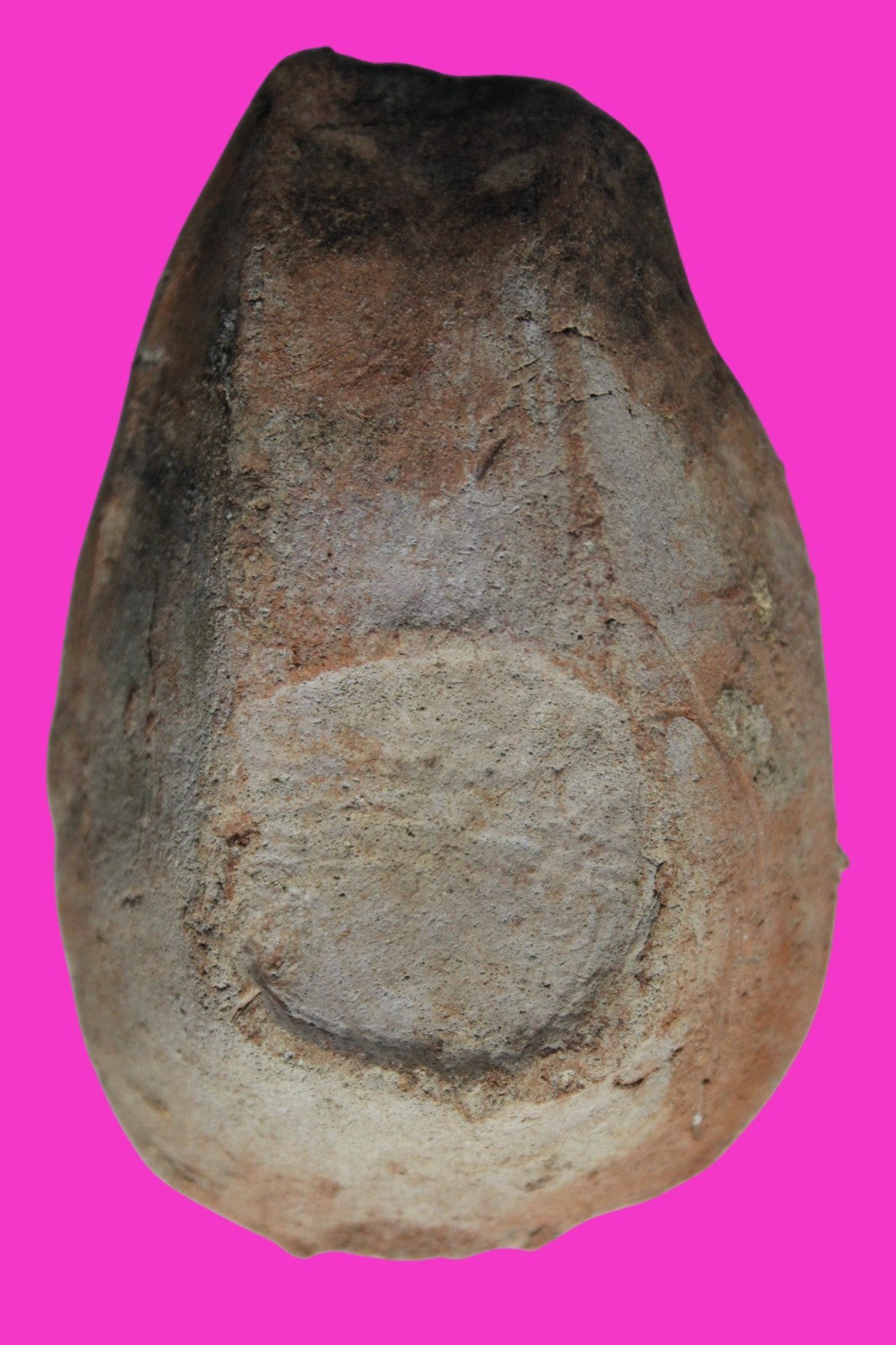 Oil Lamp Holy Land Ancient Artifact Jesus Christ Home Israel 300-600 AD COA 96